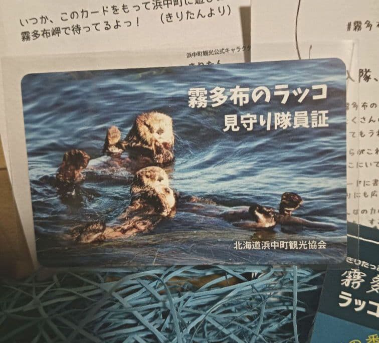 霧多布岬 ラッコキーホルダー 見守り隊員証 — image 4