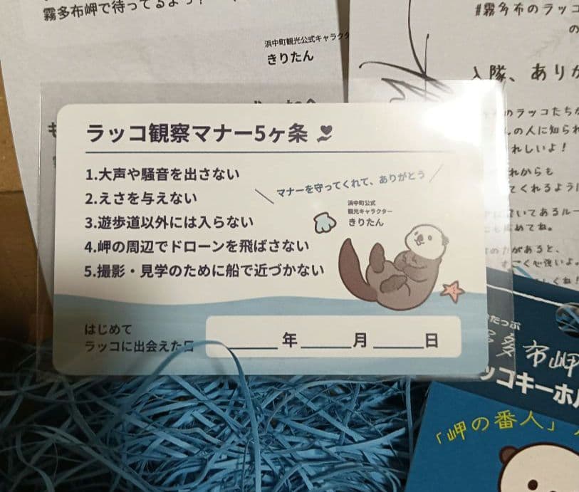 霧多布岬 ラッコキーホルダー 見守り隊員証 — image 5