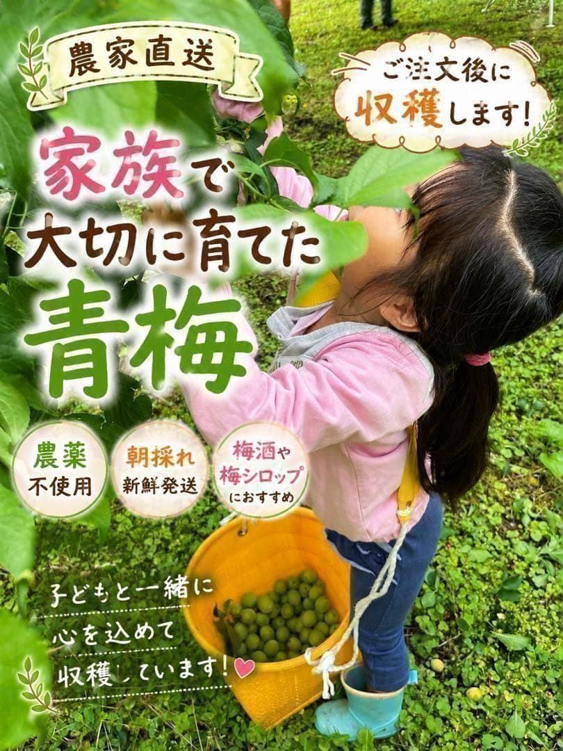 ta様専用 — image 2