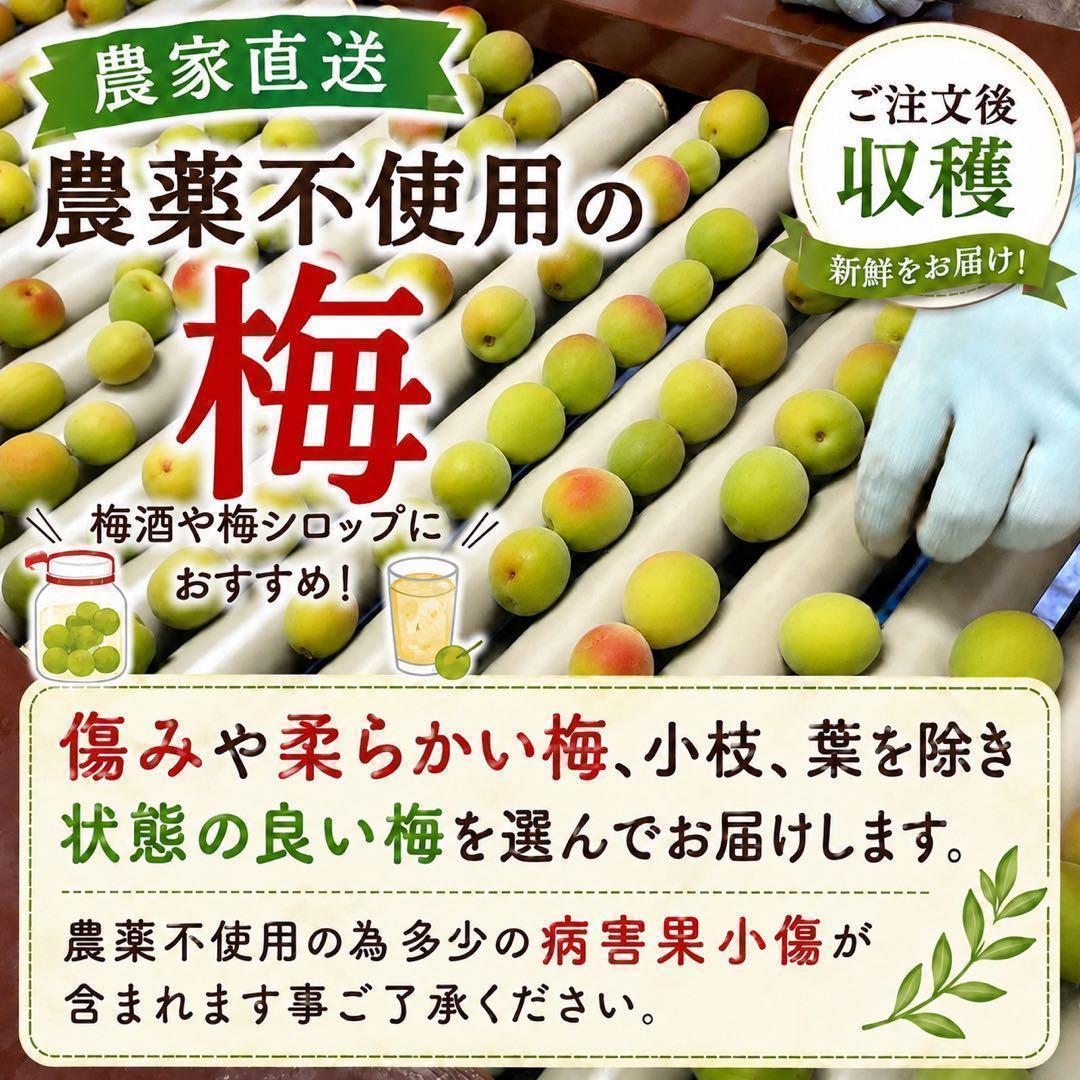 ta様専用 — image 4