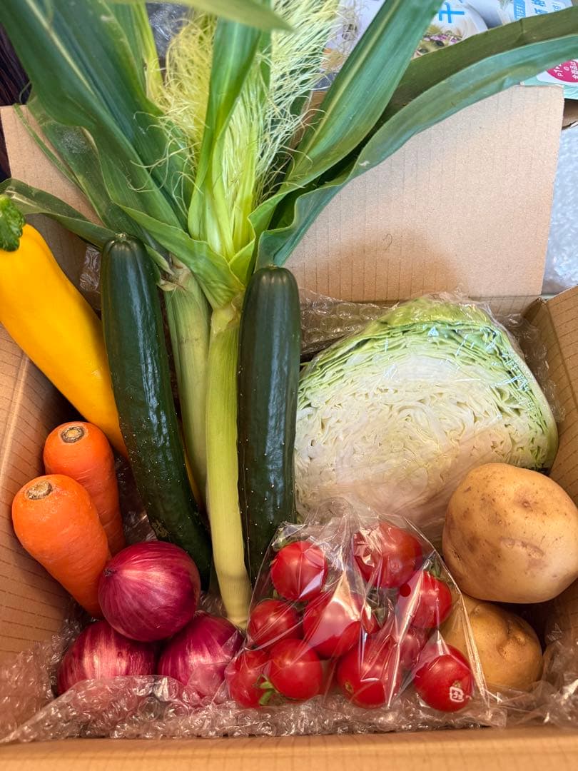 京丹後産野菜詰め合わせ６０サイズ送料込み — image 2