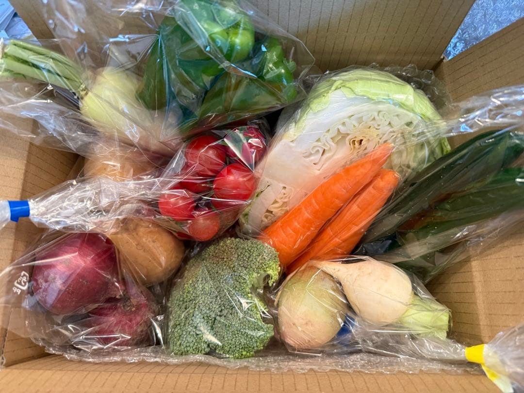 京丹後産野菜詰め合わせ６０サイズ送料込み — image 3