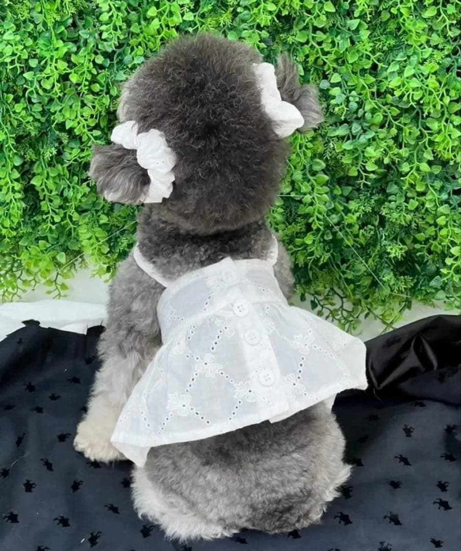 BUYALLDOG アイレットリボンワンピース　M — image 2