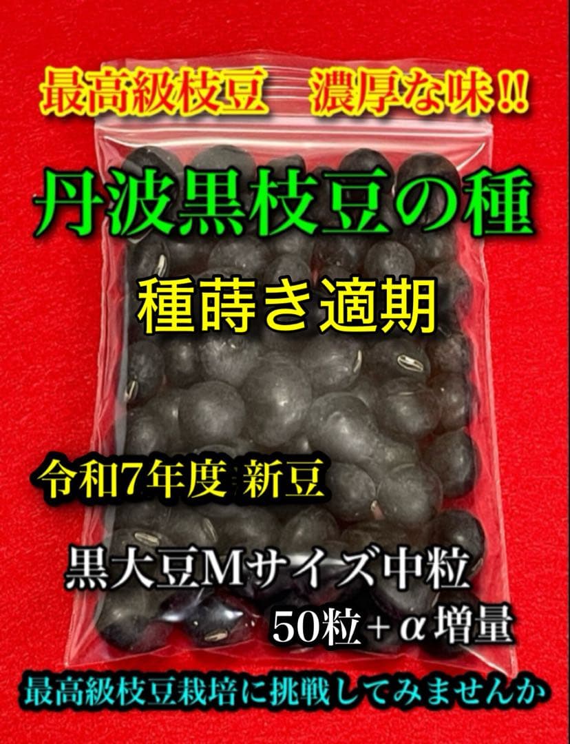 shuu15様 リクエスト 2点 まとめ商品 — image 2