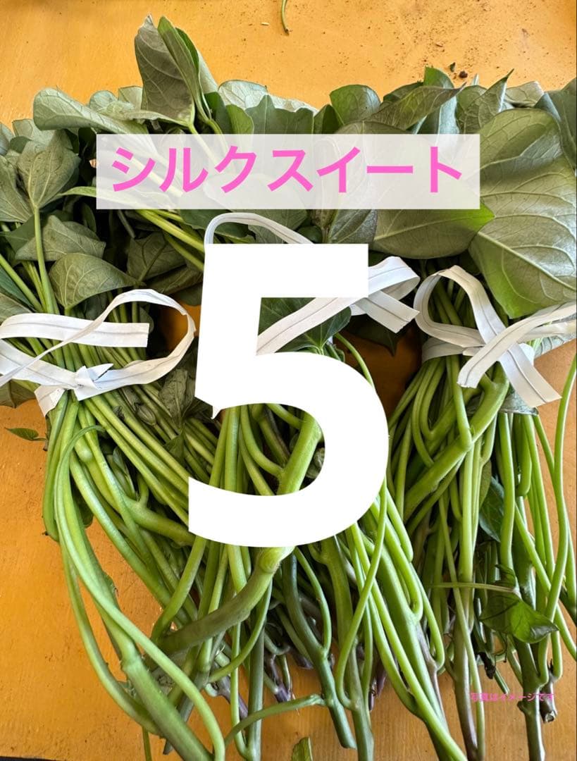 Tk Kii様 リクエスト 2点 まとめ商品 — image 2