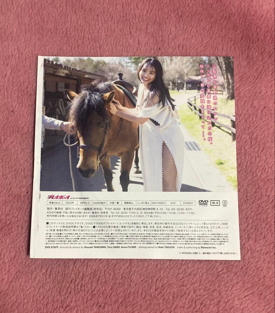 豊島心桜 DVD 特別付録 43分 — image 2