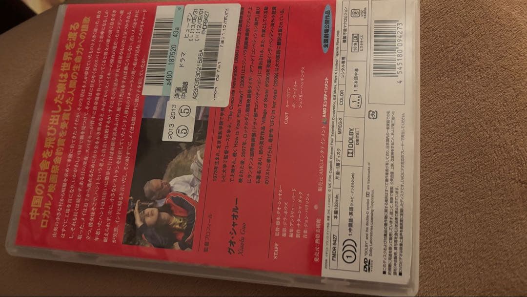 DVD SHE, A CHINESE 中国娘 グオ・シャオルー監督※レンタル落ち — image 2