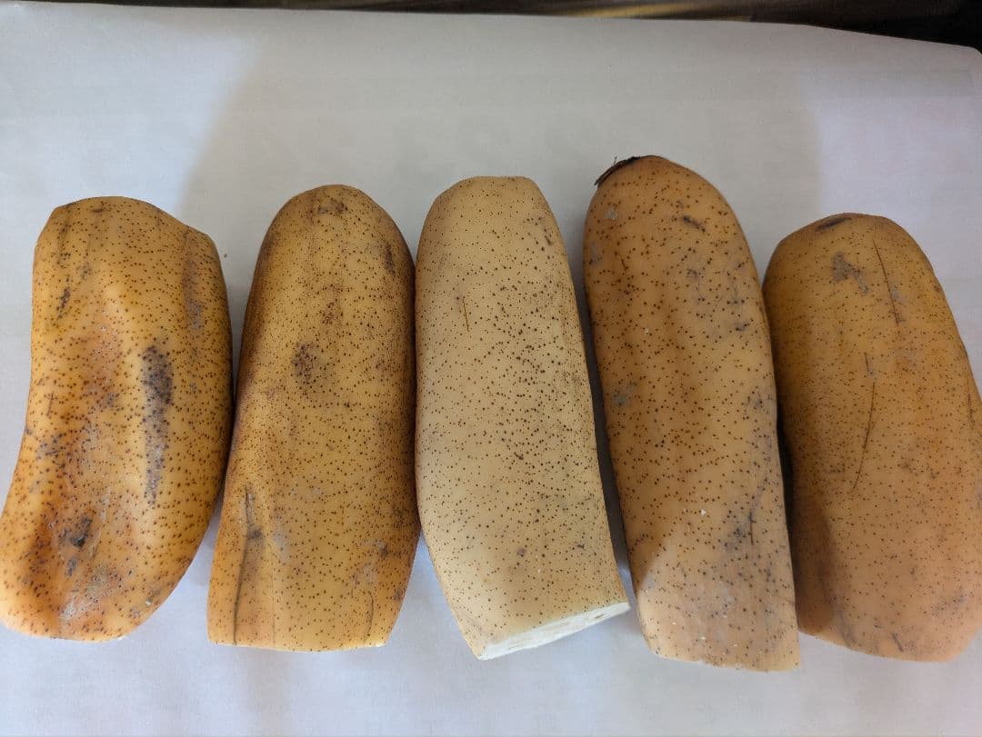 リリーさん専用　れんこん2キロ — image 2