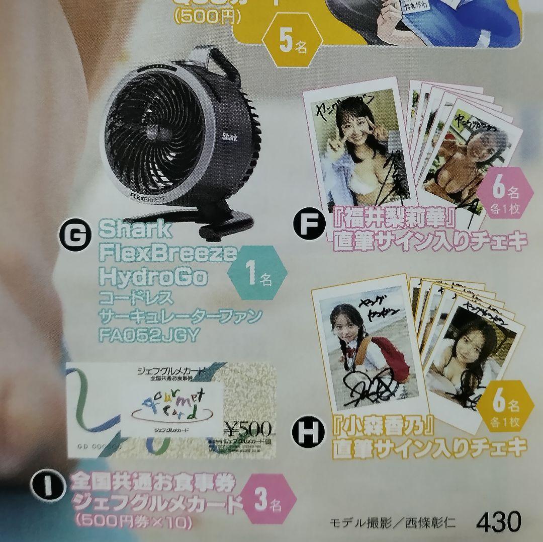 ヤングガンガン　No.13 　プレゼント応募はがき2枚 — image 3