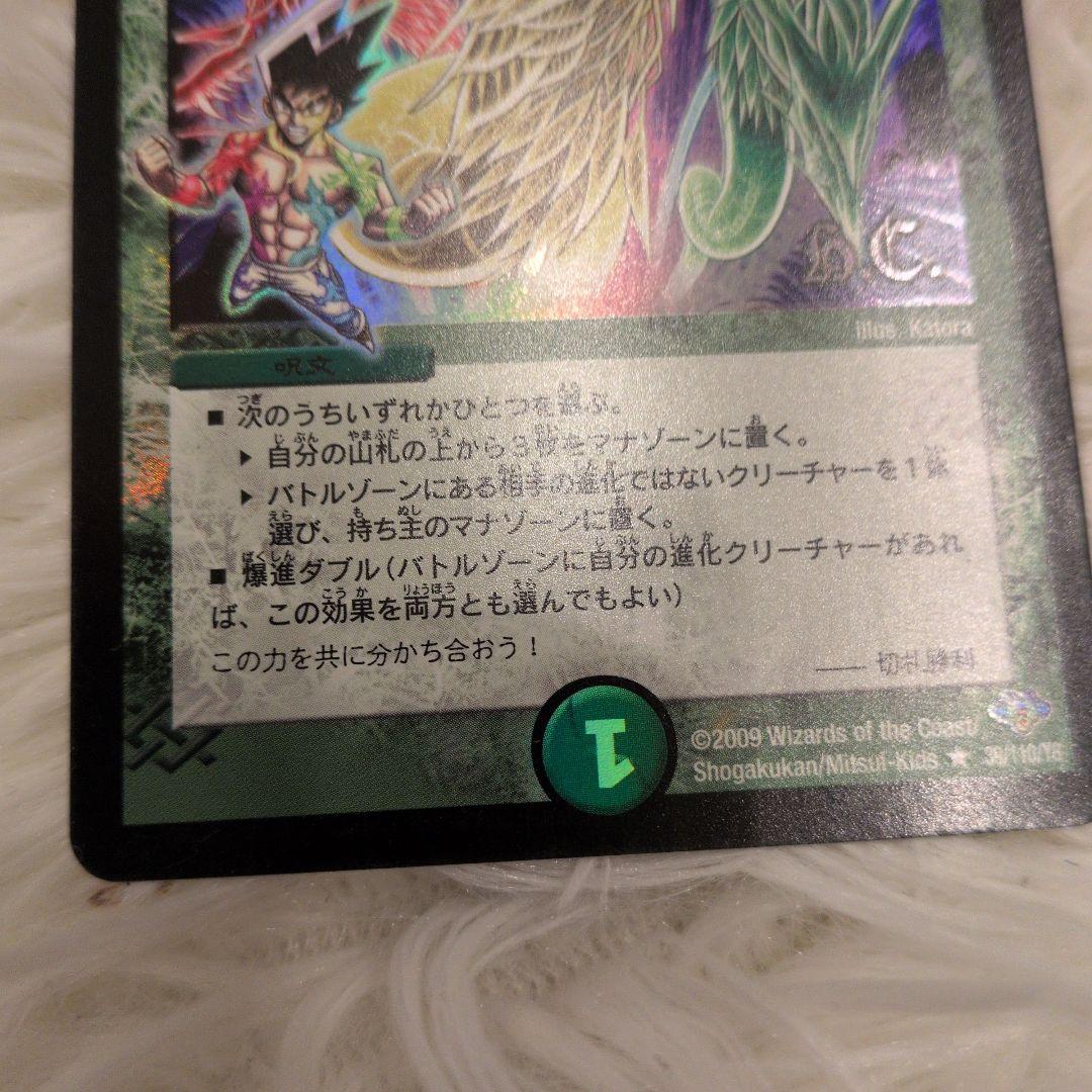 デュエルマスターズ 爆進イントゥザワイルド — image 3