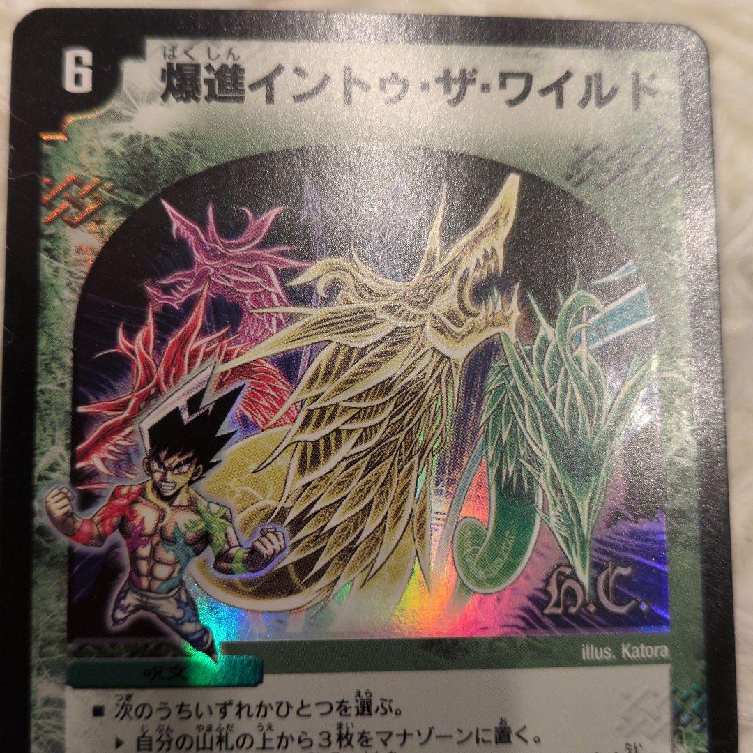 デュエルマスターズ 爆進イントゥザワイルド — image 4