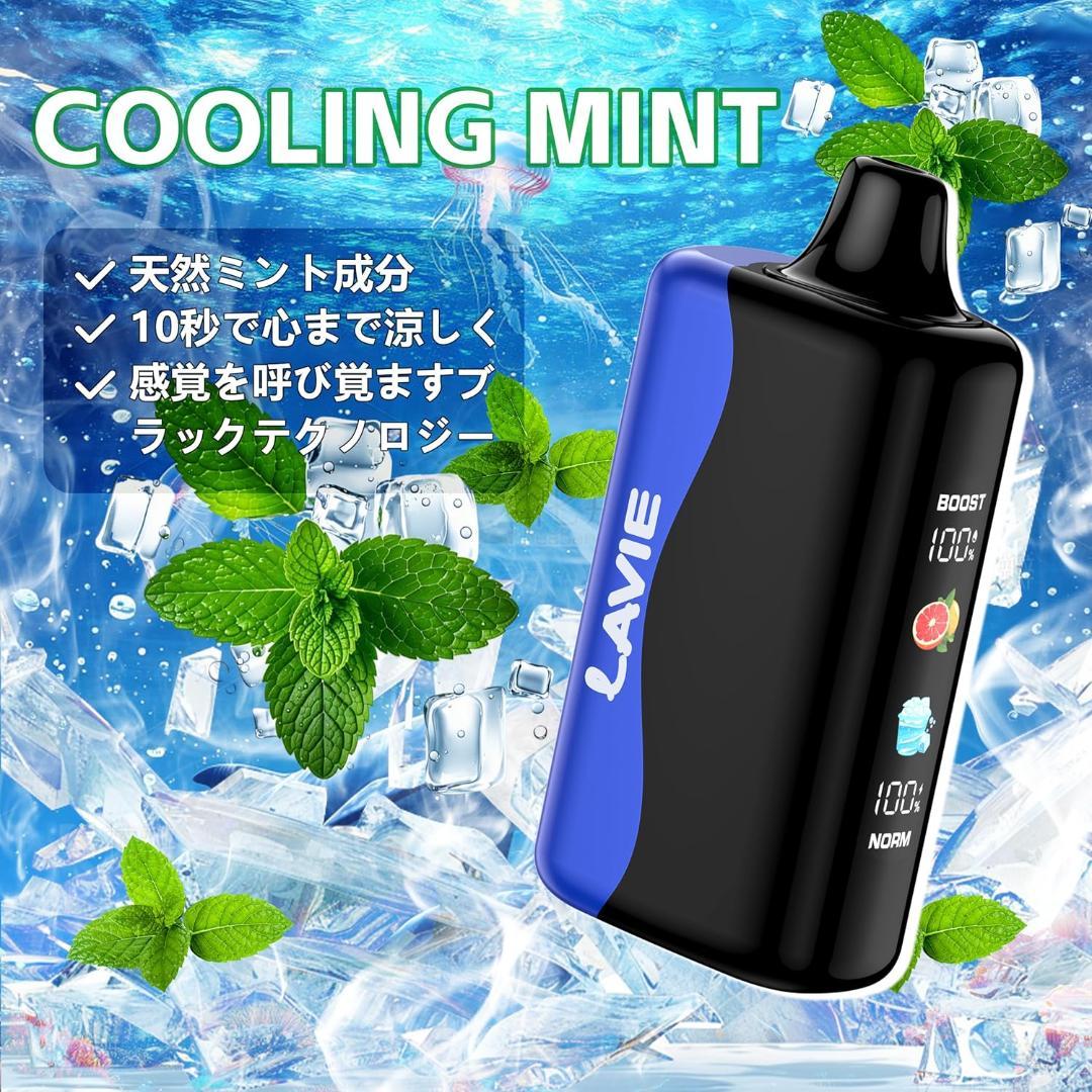 電子タバコ　べイプ　使い捨て　30000回吸引可能　充電式　ミント　シーシャ — image 4