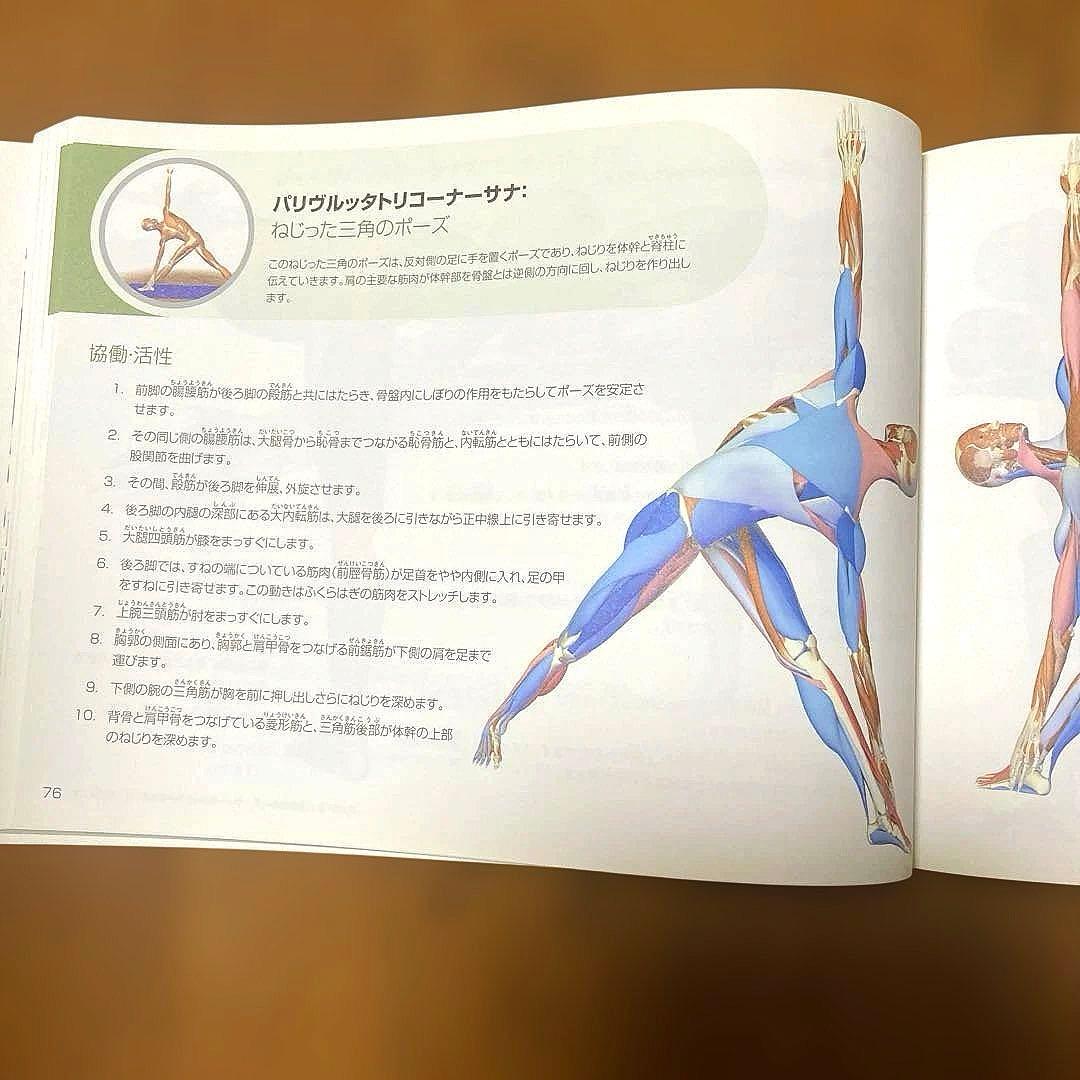 図解YOGAアナトミー : 医師が解説するヨガの機能解剖学 アーサナ編 — image 5