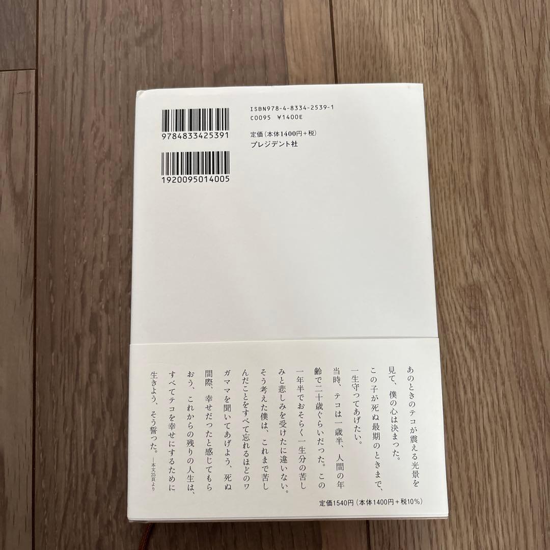 捨てられた僕と母猫と奇跡 : 心に傷を負った二人が新たに見つけた居場所 — image 2
