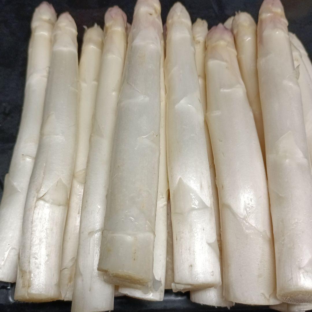 ホワイトアスパラガスB級品【700g】 露地栽培 — image 2