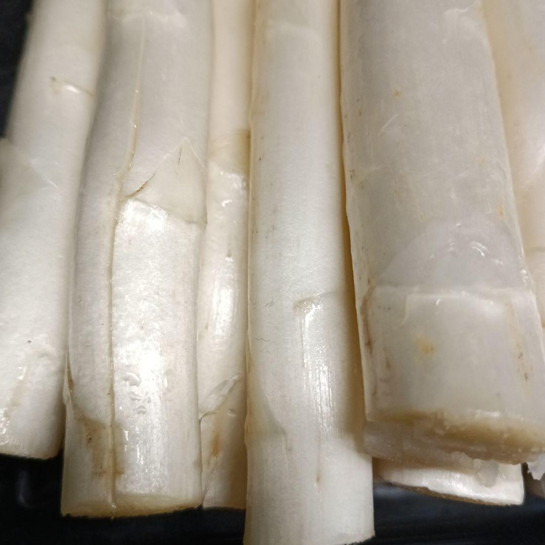 ホワイトアスパラガスB級品【700g】 露地栽培 — image 5