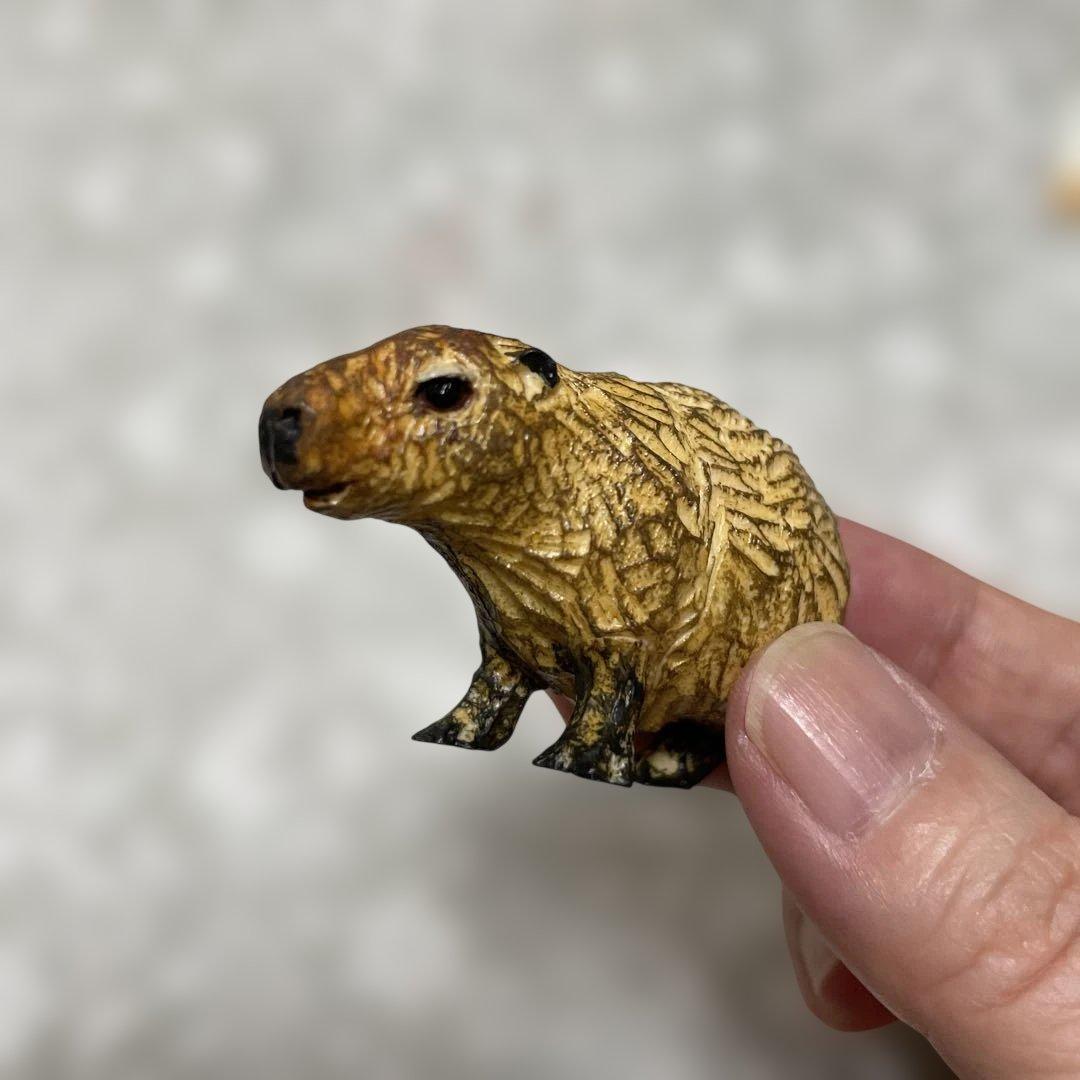 はしもとみお　カピバラ　那須どうぶつ王国 — image 2