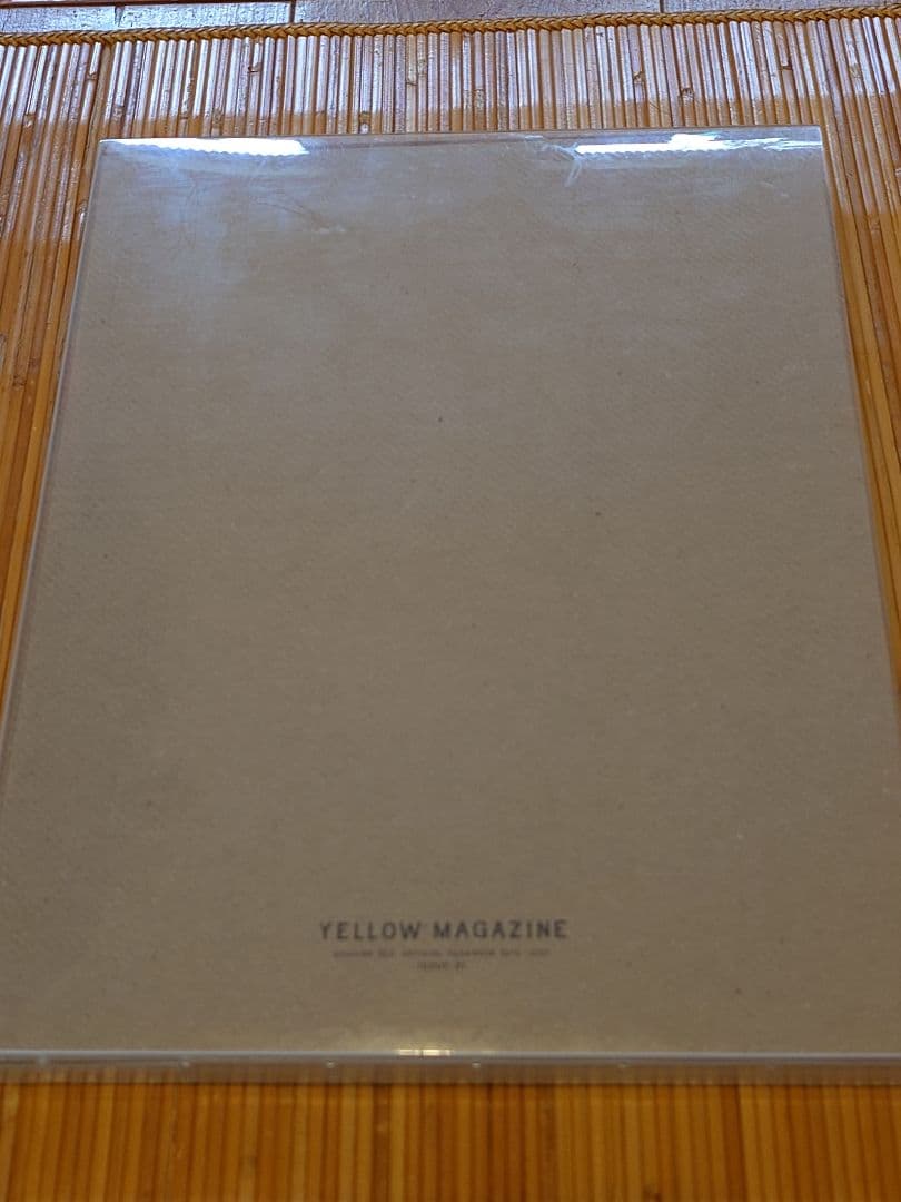 YELLOW MAGAZINE HOSHINO GEN ISSUE 01 — image 4