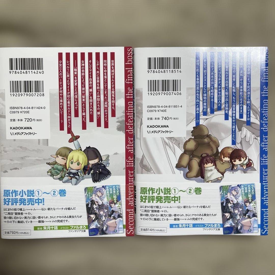 ラスボス討伐後に始める二周目冒険者ライフ :1.2 — image 2