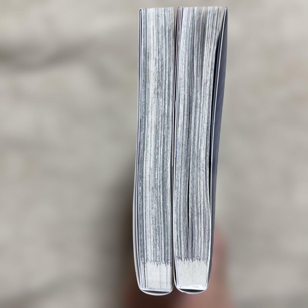ラスボス討伐後に始める二周目冒険者ライフ :1.2 — image 3