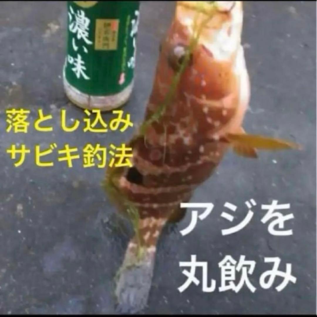 ハヤブササビキ　落とし込みサビキ　喰わせサビキ　船釣り　ヒラメサビキ　青物サビキ — image 4