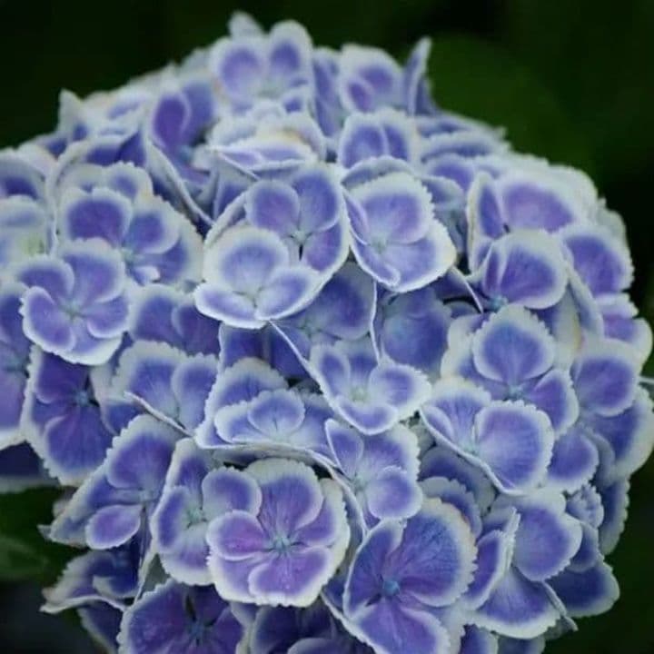 22gano様専用3点 — image 3