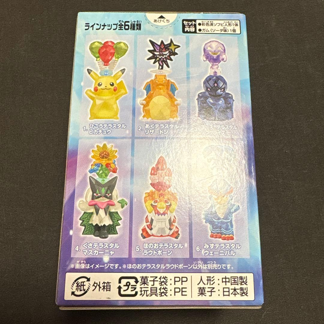 テラスタル　ポケモンキッズ　ラウドボーン — image 2
