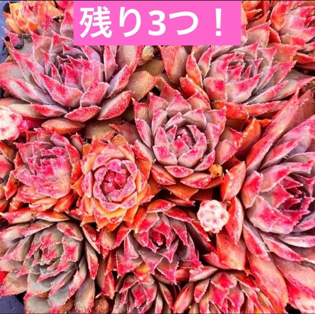 user_63736a9b様 リクエスト 3点 まとめ商品 — image 3