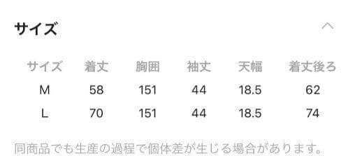MODE NORM CORE　リネン天竺ドルマンプルオーバー　Lサイズ　ブラック — image 5