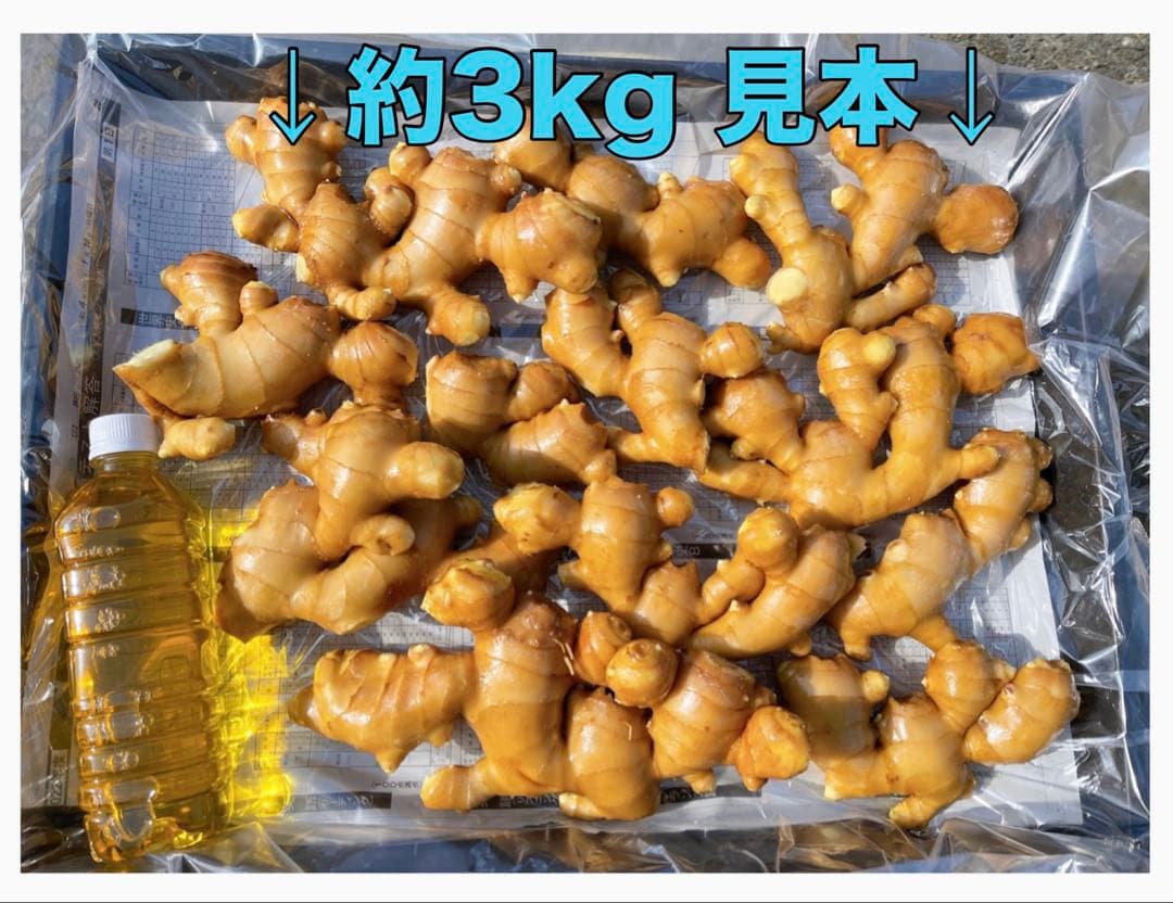 生姜3kg — image 5