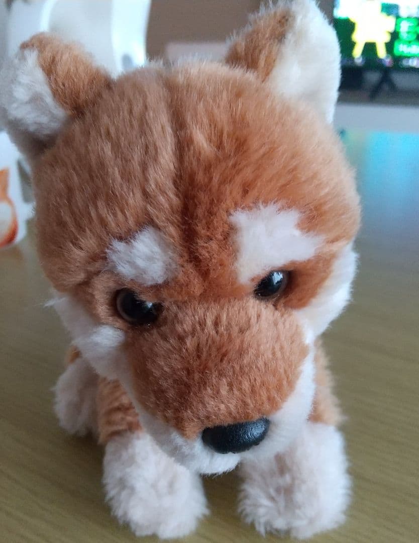 いぬのぬいぐるみRECALO(レンガ) 柴犬 — image 4