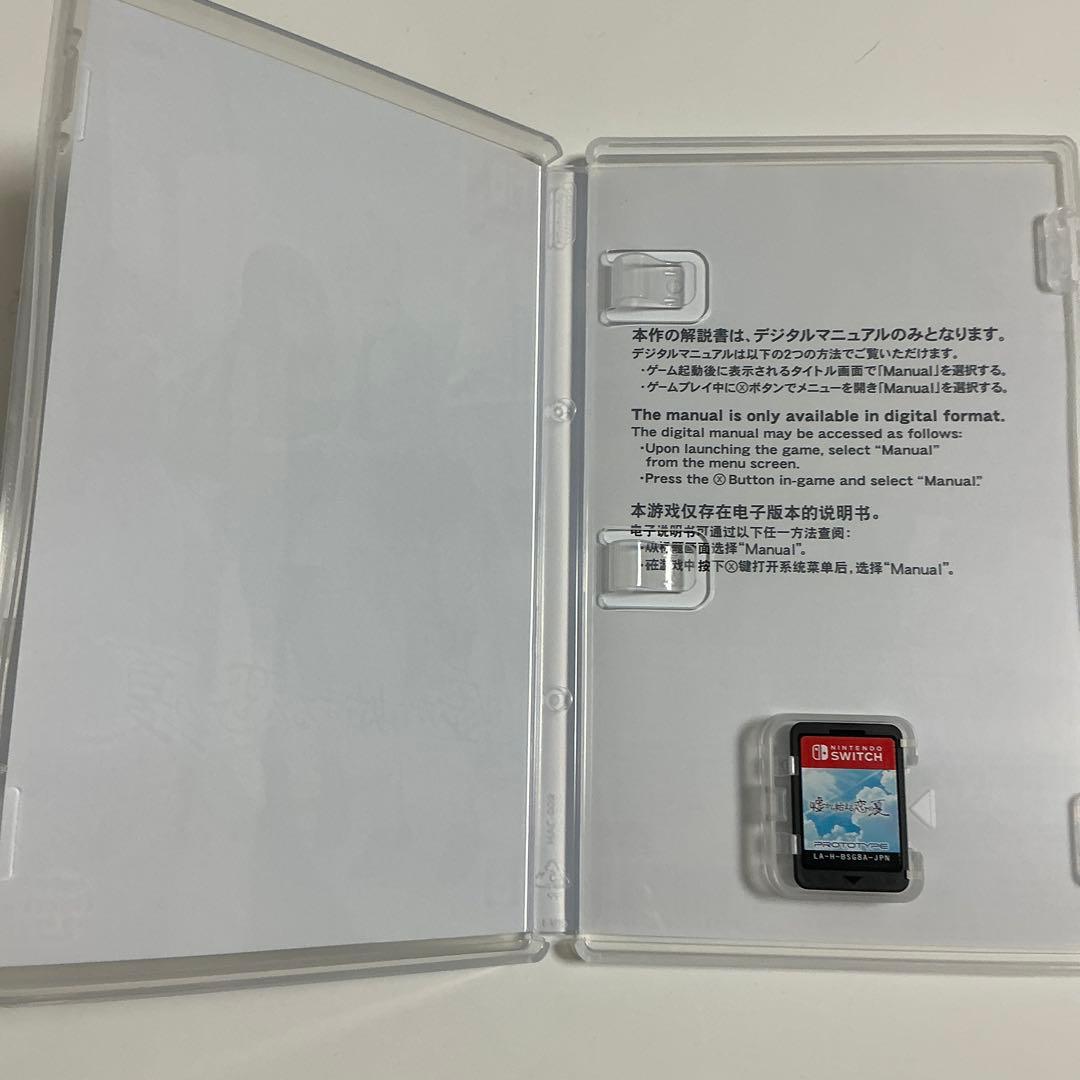嘘から始まる恋の夏 Switch — image 3