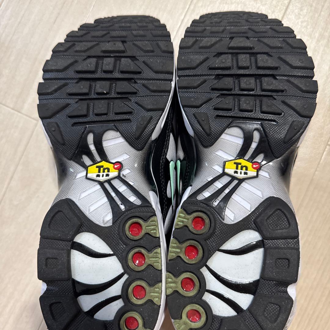 Nike Air Max Plus Seafoam 27.5cm — image 5