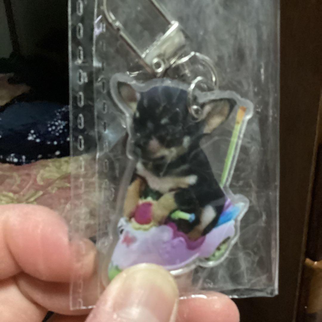 チワワ　アクリルキーホルダー2個セット — image 3