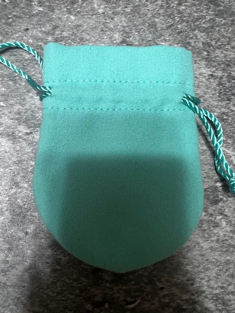 Tiffany & Co. 巾着袋 保存袋 — image 2