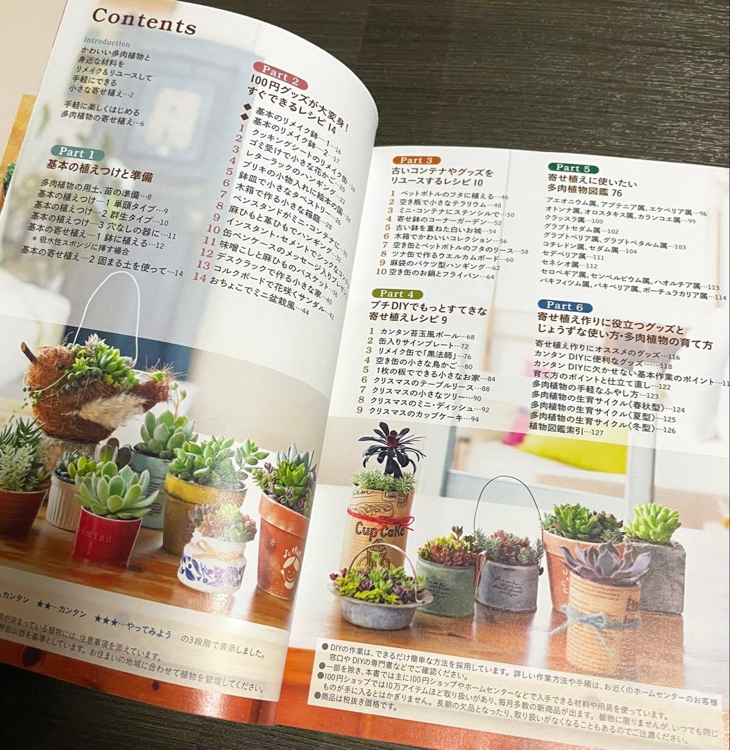 リメイク&リユースでかわいく作る多肉植物の寄せ植え — image 3