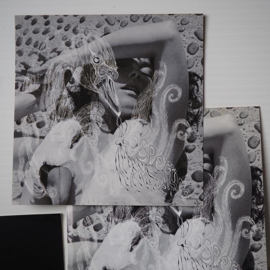 Bjork Vespertine ベスパタイン/ステッカー付 — image 5