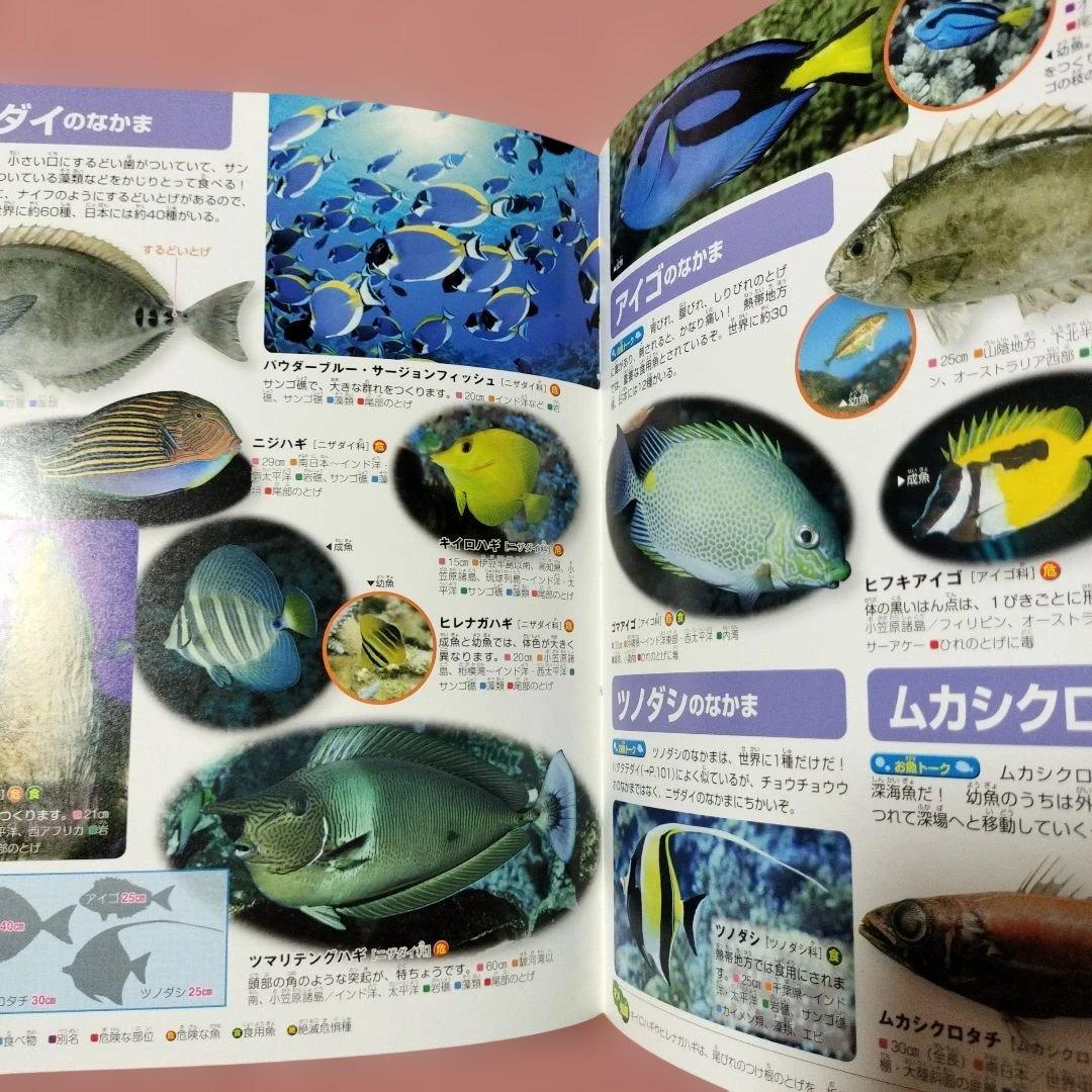 MOVE魚 — image 3