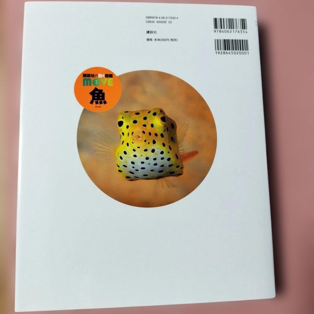 MOVE魚 — image 4