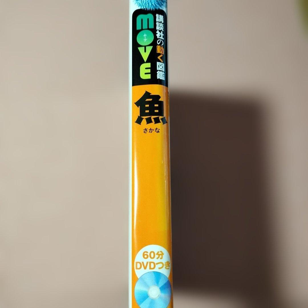MOVE魚 — image 5