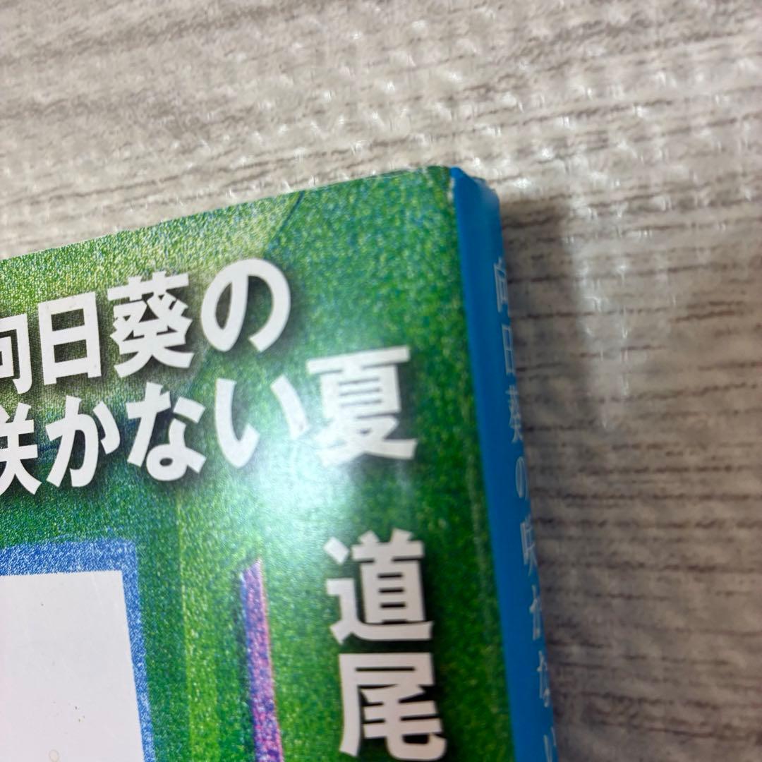 【即日発送♪送料込み】向日葵の咲かない夏 道尾秀介 新潮文庫　小説　本　道尾 — image 5