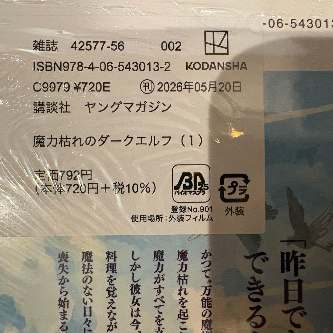 魔力枯れのダークエルフ　特典付き — image 3