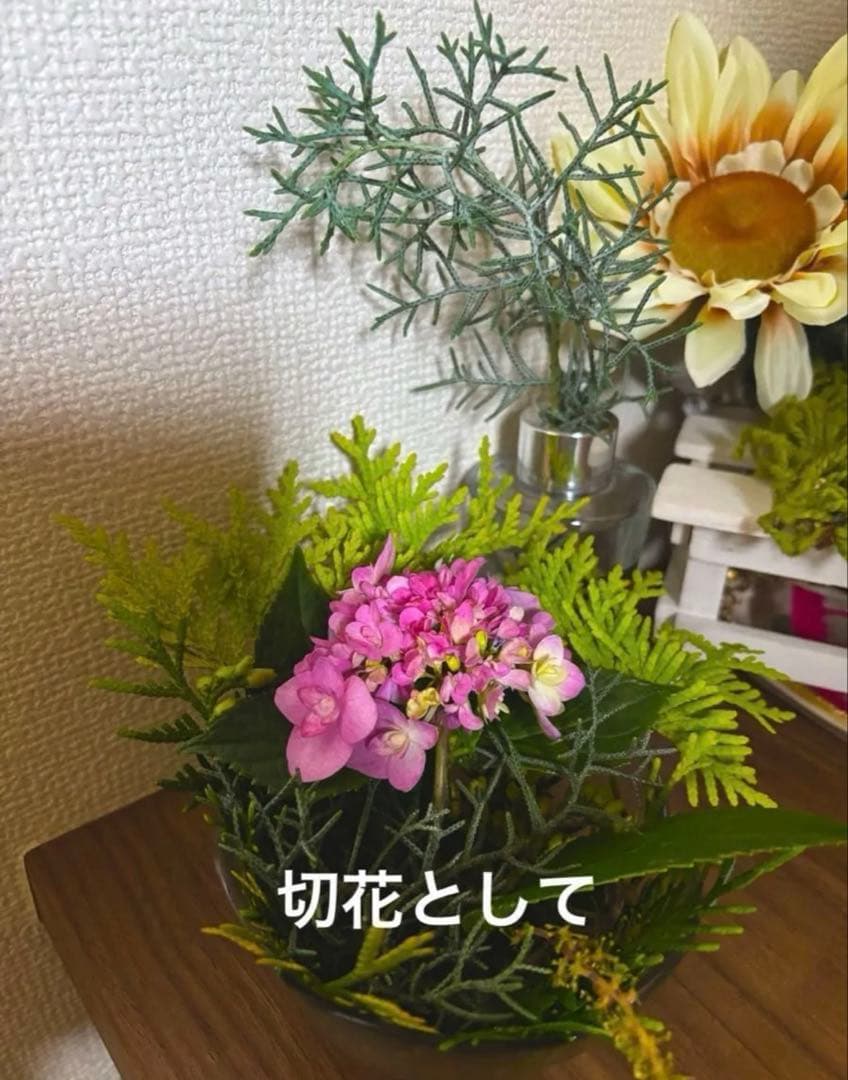 コニファー　ゴールドクレスト　ドライフラワー ミニスワッグ — image 4
