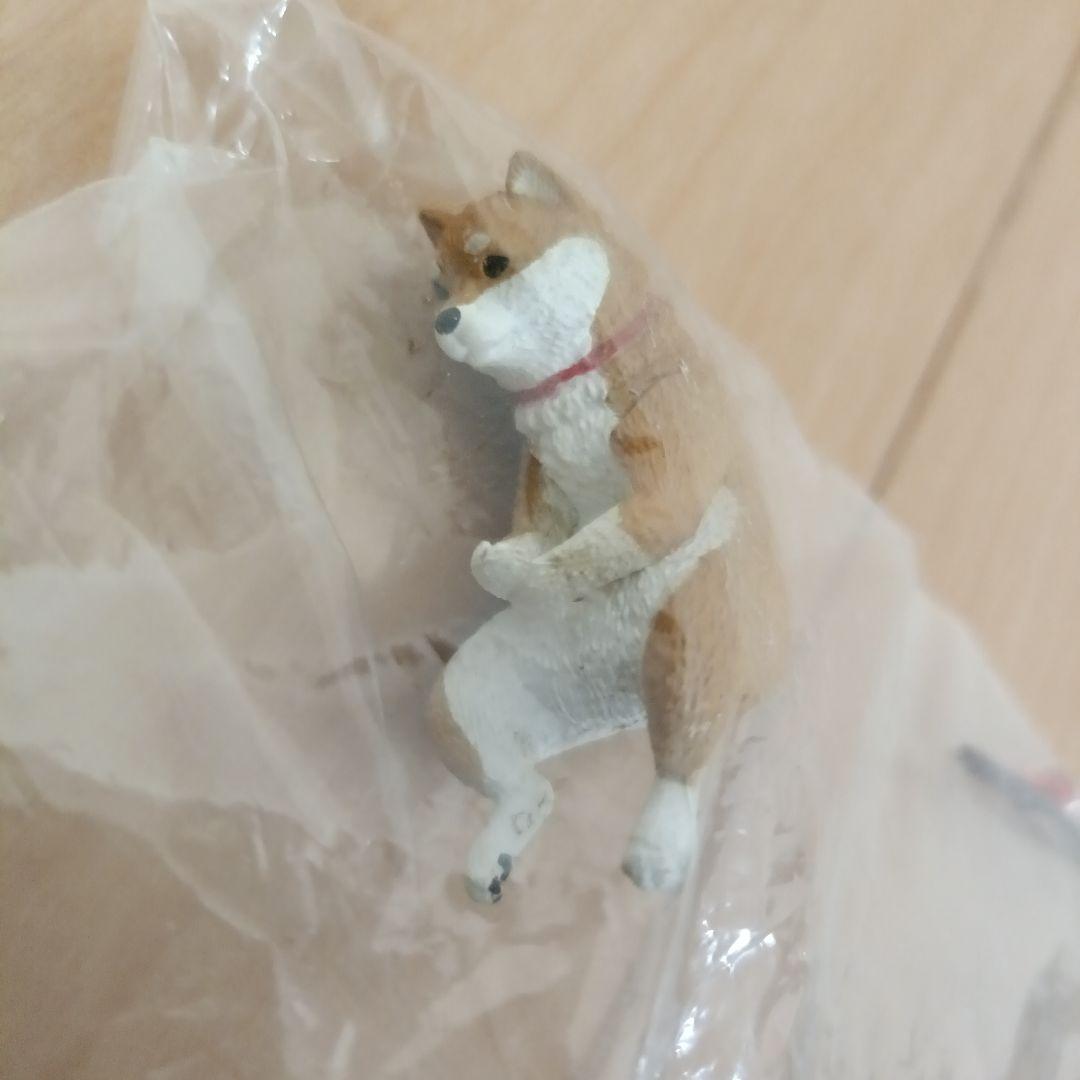 釣り日和3 柴犬 シバイヌ しばいぬ フィギュア カプセル ガチャガチャ — image 3