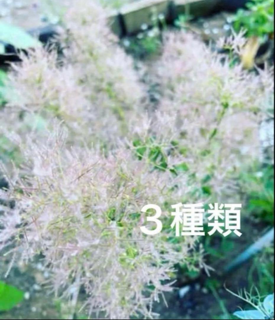 miwa様 リクエスト 2点 まとめ商品 — image 2