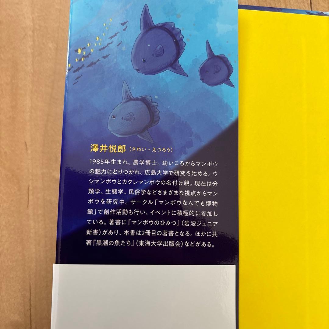 マンボウは上を向いてねむるのか マンボウ博士の水族館レポート — image 4