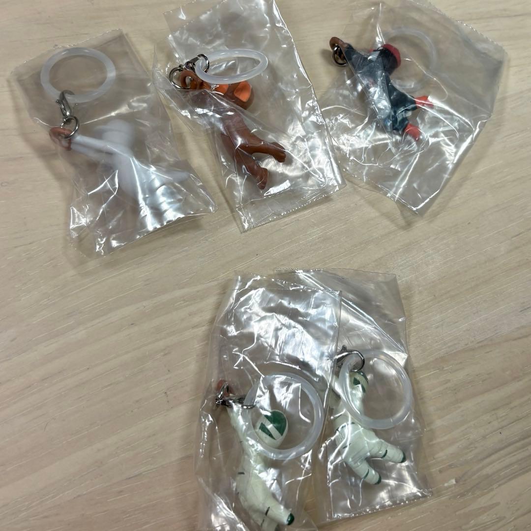 ヒューマンフォールフラット めじるしアクセサリー — image 2
