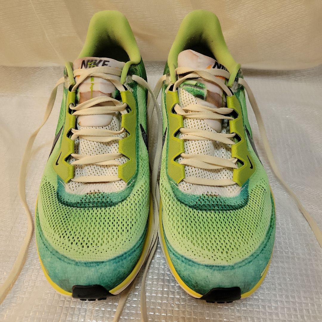 NIKE　ペガサス 41 SE — image 2