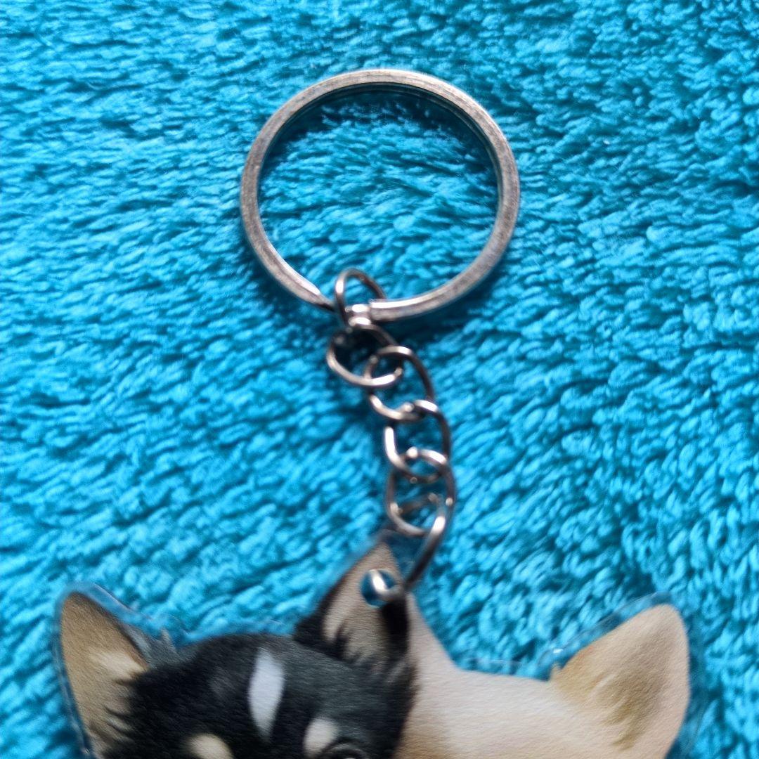 新品未使用で可愛いチワワ アクリルキーホルダーです — image 3