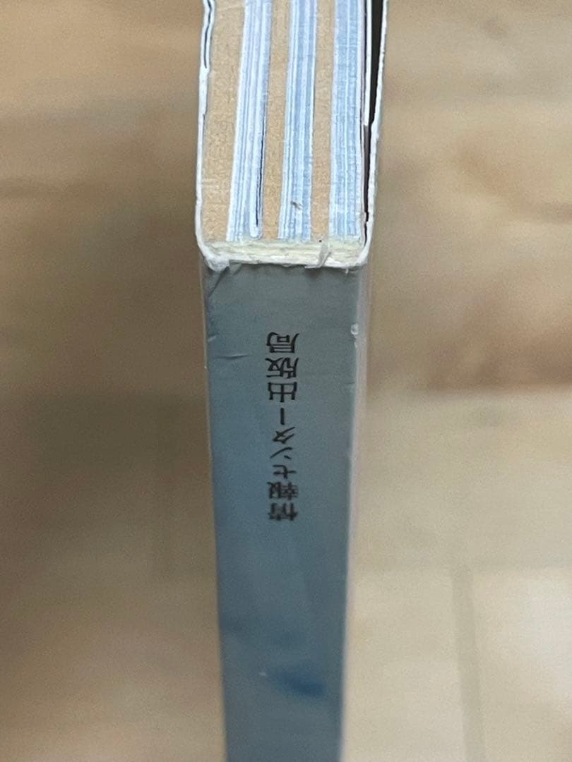 【金曜値下げ】【初版】『シマノホホエミ』 長野陽一 — image 5